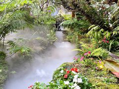 -Chom Cafe and Restaurant