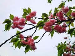 -崀山风景名胜区