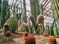 -南山植物园