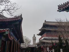 -天津妈祖文化园