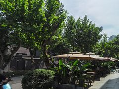 -四川大学(华西校区)