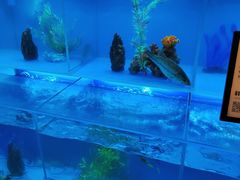 -怡咖啡·自助餐·西安香格里拉