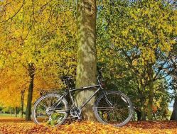 -涩谷· Hair Salon