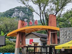 -柳州市动物园