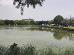 -广富林郊野公园