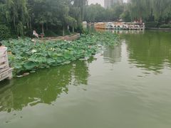 -莲湖公园
