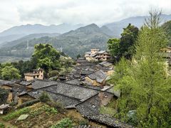 -杨家堂村