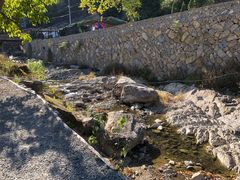 -MOJ coffee(瓯海泽雅水碓坑店)