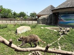 -齐齐哈尔龙沙动植物园