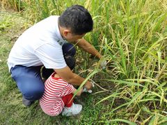 -广东花都香草世界旅游度假区