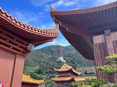 -深圳仙湖植物园