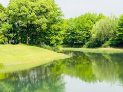 -贡湖湾湿地公园