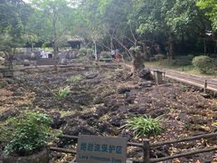 -海口火山口国家地质公园