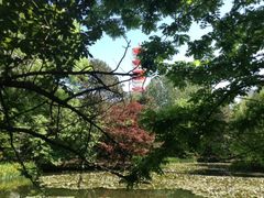 -北海道厅旧本厅舍(旧本庁舎)