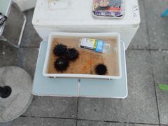 -金沙滩度假村