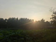 -前关湿地公园