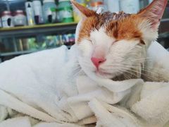 -喵汪宠物生活馆(涞坊路店)