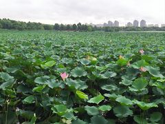 -云龙湖旅游景区