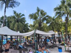 -重庆海昌加勒比海水世界