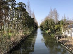 -上海长兴岛郊野公园