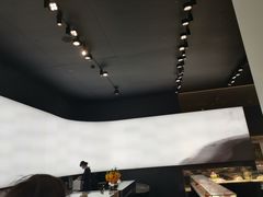 -BLACKSWAN黑天鹅(环球店)