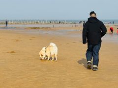 -日照海滨国家森林公园