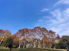 -习家池