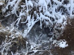 -大平台龙居瀑布旅游区