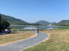-风云岭森林公园