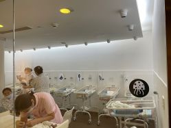 -海豚湾高端月子会所(黄浦店)