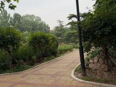 -岳阳道小学(大理道校区)