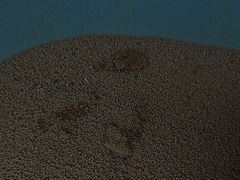 -瑞派宠物医院·犬猫全科·猫友好(宾水西道店)