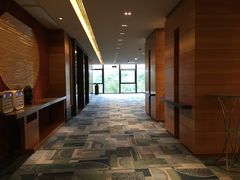 -The Lounge大堂酒廊·咖啡·沙拉·下午茶(金茂深圳JW万豪酒店)