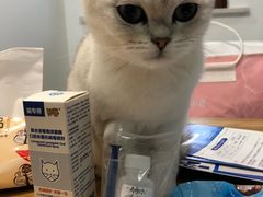 -睿金宠物医院·CT·肿瘤·骨外科