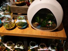 -酷乐潮玩(颛桥万达店)