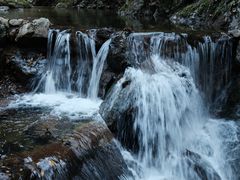 -牛背梁国家森林公园