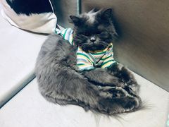 -小时光咖啡馆(开森度假森林店)