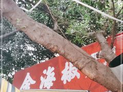 -金海椒罐罐鲢鱼(东方桂苑店)