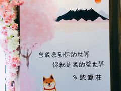 -柴源莊·柴小宠柴犬咖啡