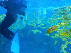 -海合安成都极地海洋公园