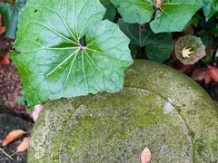 -宁波市保国寺古建筑博物馆