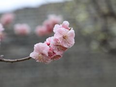 -北京明城墙遗址公园