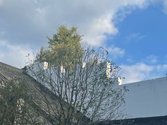 -麻雀咖啡SPARROW COFFEE(十全街店)