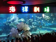 -石林冰雪海洋世界