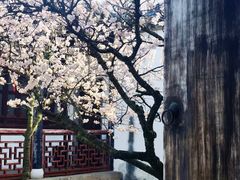 -拙政园