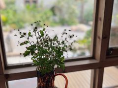 -Jo's Garden