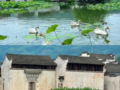-呈坎景区
