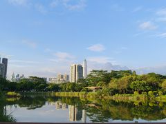 -福田红树林生态公园