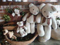 -济州岛泰迪熊博物馆