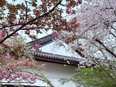 -范蠡湖公园